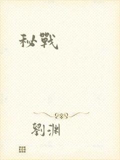 秘战封面