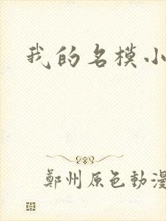 我的名模小娇妻
