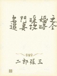 名门暖婚之权爷追妻攻略全文免费阅读