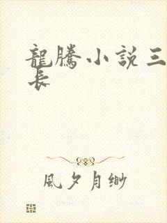 龙腾小说三宝局长