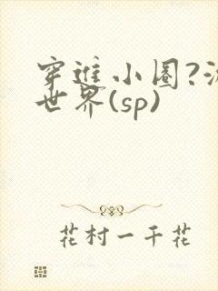 穿进小圈?游戏世界(sp)