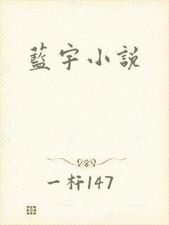 蓝宇小说封面