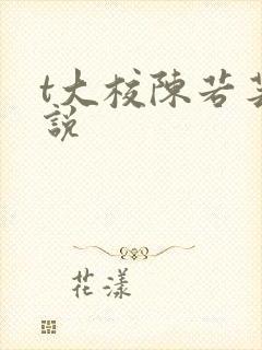 t大校陈若芸小说封面