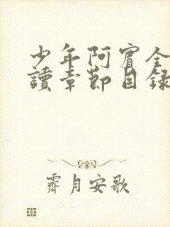 少年阿宾全文阅读章节目录封面