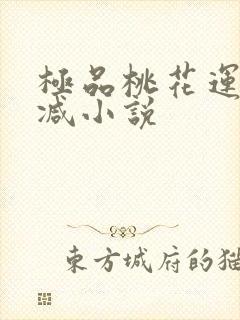极品桃花运未删减小说