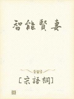 智能贤妻封面