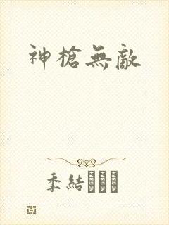 神枪无敌封面