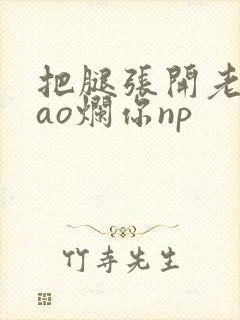 把腿张开老子cao烂你np