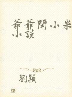 爷爷开小米的包小说