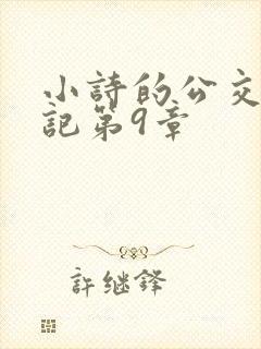 小诗的公交车日记第9章
