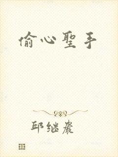 偷心圣手