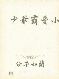 少爷霸爱小丫头