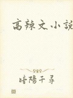 高辣文小说