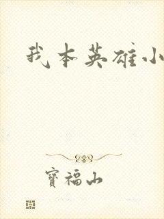 我本英雄小说