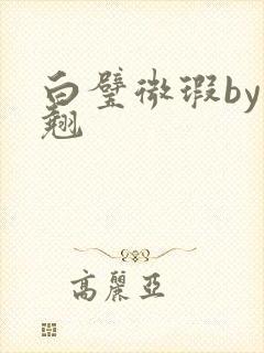白璧微瑕by连翘