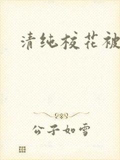 清纯校花被封面