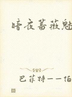 暗夜蔷薇魅