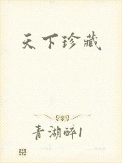 天下珍藏封面