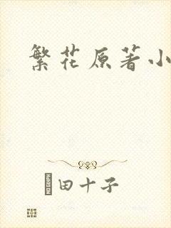 繁花原著小说