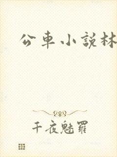 公车小说林蔓蔓