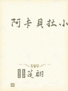阿卡贝拉小说