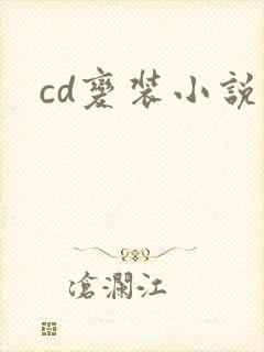 cd变装小说封面