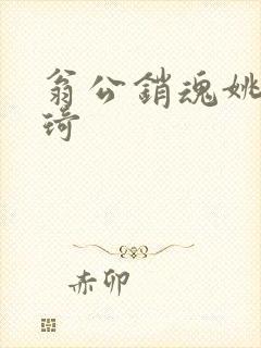 翁公销魂姚瑶琦琦