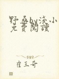 野桑by浅小说免费阅读