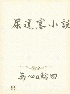 尿道塞小说