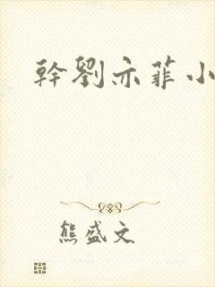干刘亦菲小说