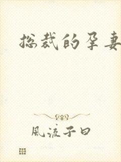 总裁的孕妻