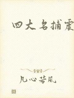 四大名捕震关东