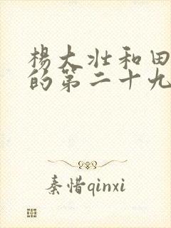 杨大壮和田桂花的第二十九