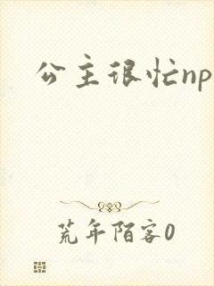 公主很忙npc