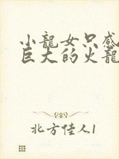小龙女只感觉那巨大的火龙枪