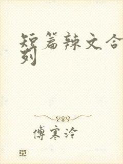 短篇辣文合集系列封面