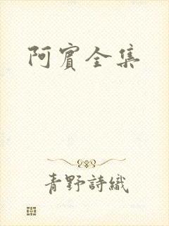 阿宾全集