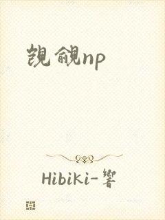 觊觎np