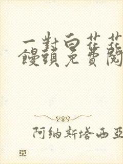 一对白花花的大馒头免费阅读
