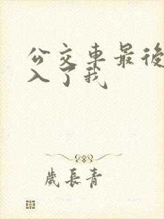 公交车最后一排入了我
