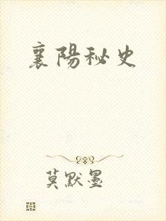 襄阳秘史