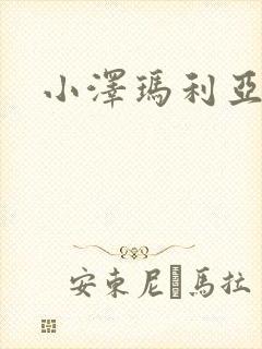 小泽玛利亚作品