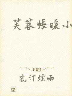 芙蓉帐暖小说