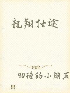 龙翔仕途封面