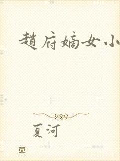 赵府嫡女小说封面