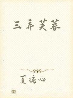 三弄芙蓉封面