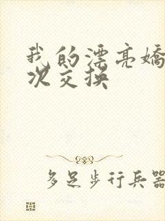 我的漂亮娇妻初次交换