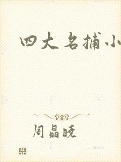 四大名捕小说封面