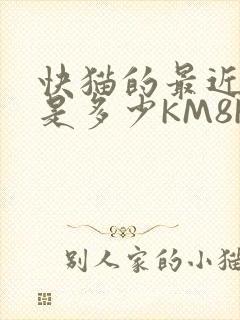 快猫的最近链接是多少KM8KW