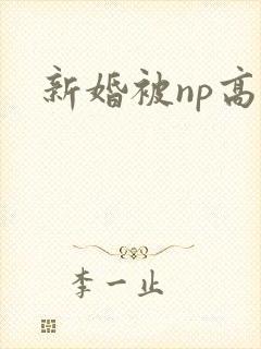 新婚被np高h